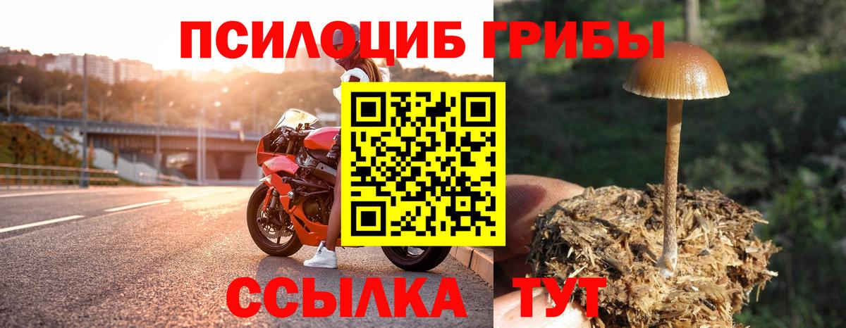Псилоцибиновые грибы мицелий  Вход с VPN  Шебекино 